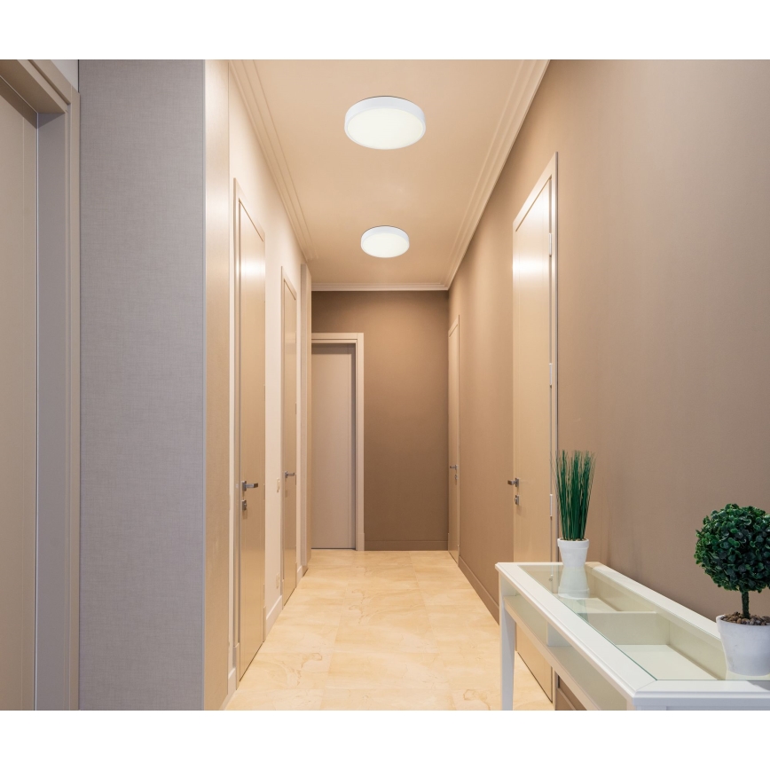 Globo - LED Badkamer plafondlamp dimbaar LED/28W/230V IP44