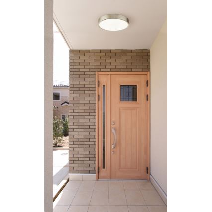 Globo - dimbare LED-plafondlamp LED/28W/230V