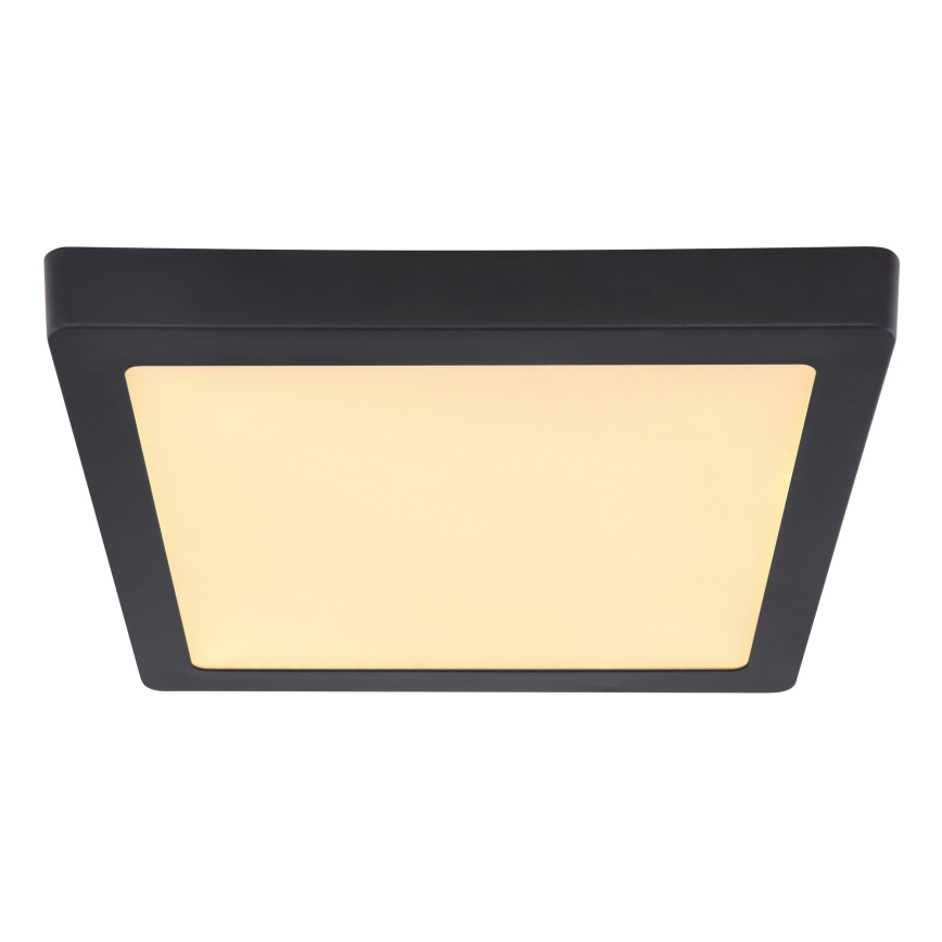 Globo - LED Plafondlamp LED/22W/230V