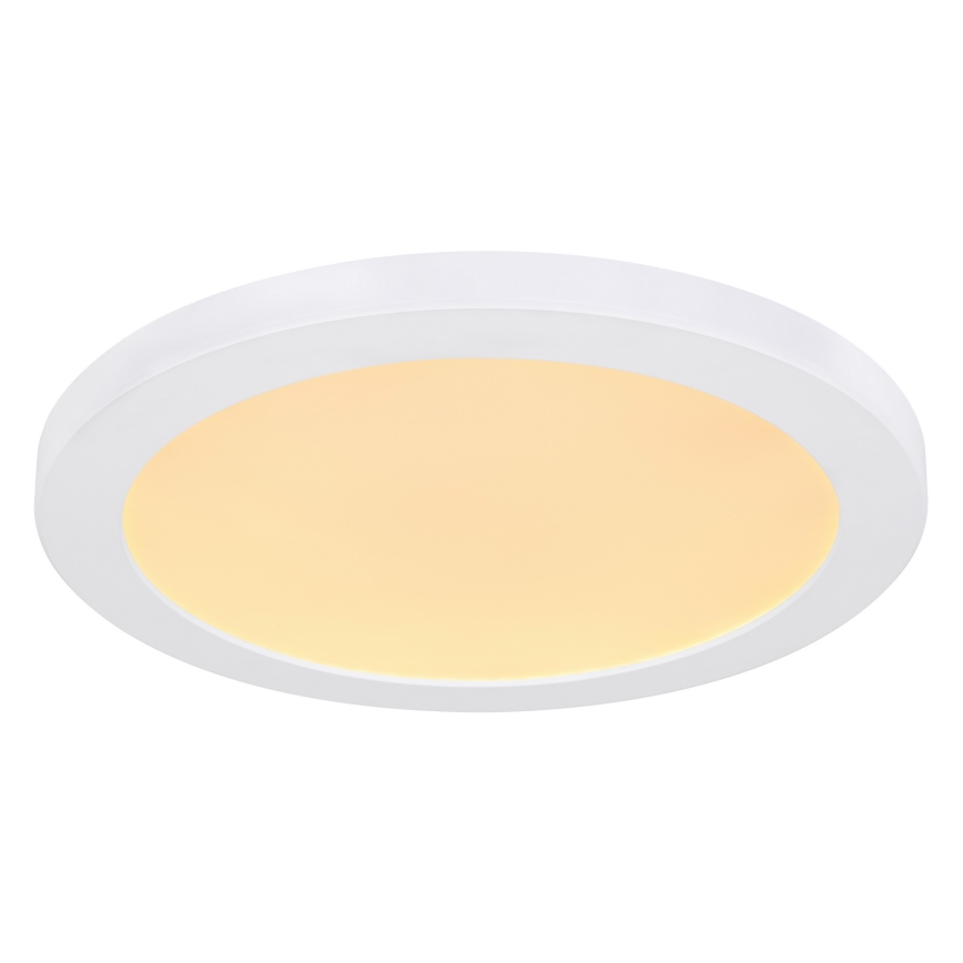 Globo - LED Plafondlamp LED/24W/230V 3000/4000/6500K wit