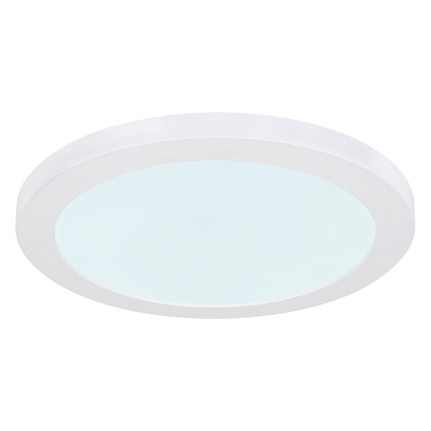 Globo - LED Plafondlamp LED/24W/230V 3000/4000/6500K wit