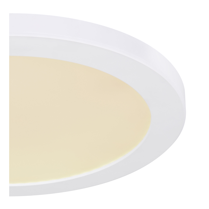Globo - LED Plafondlamp LED/24W/230V 3000/4000/6500K wit