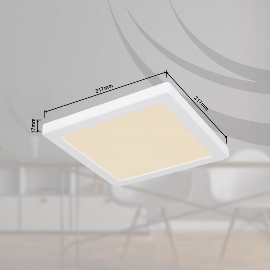 Globo - LED Plafondlamp LED/18W/230V 3000/4000/6500K wit