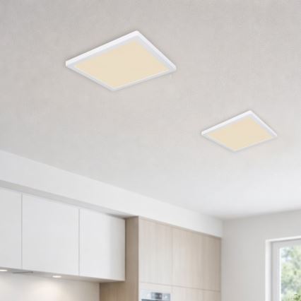 Globo - LED Plafondlamp LED/24W/230V 3000/4000/6500K wit