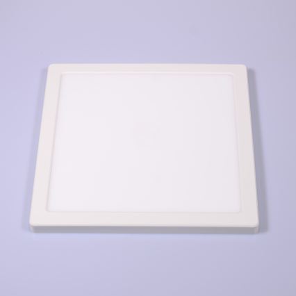 Globo - LED Plafondlamp LED/24W/230V 3000/4000/6500K wit