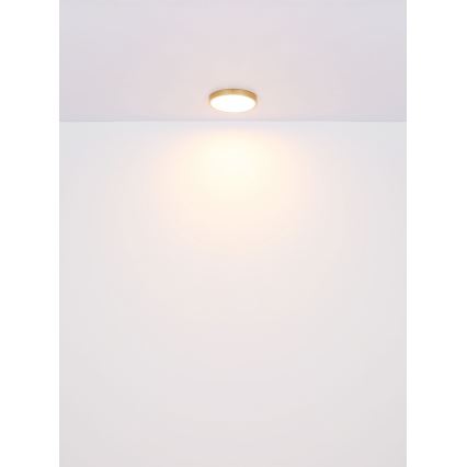 Globo - LED Plafondlamp LED/15W/230V diameter 25 cm