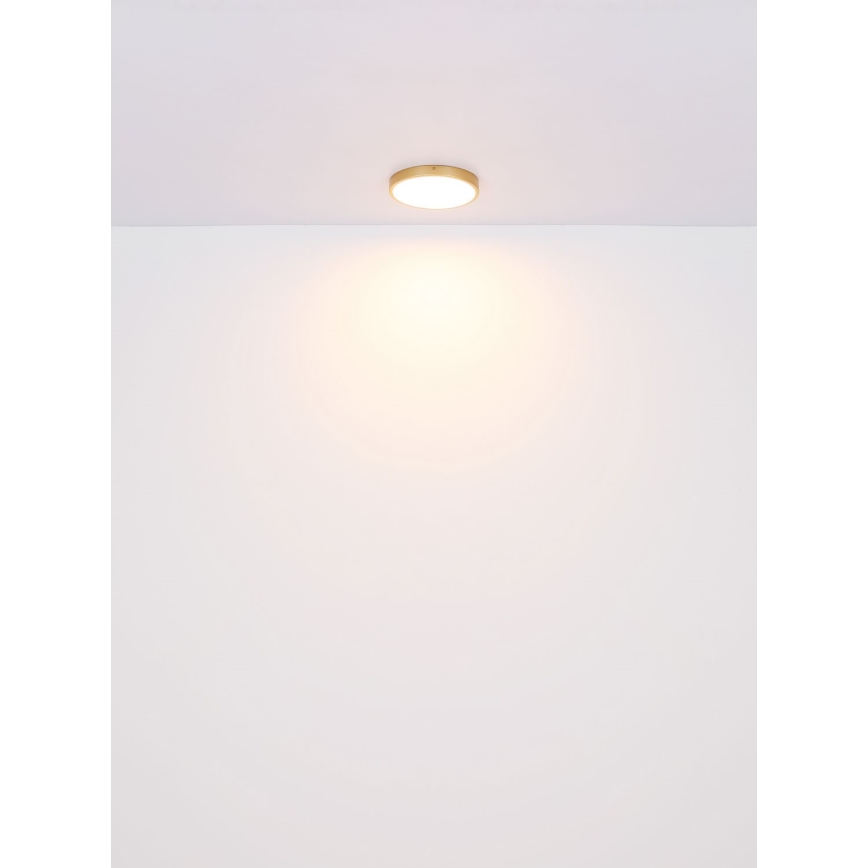 Globo - LED Plafondlamp LED/15W/230V diameter 25 cm