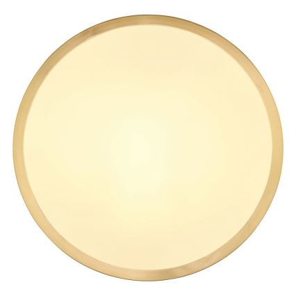 Globo - LED Plafondlamp LED/15W/230V diameter 25 cm