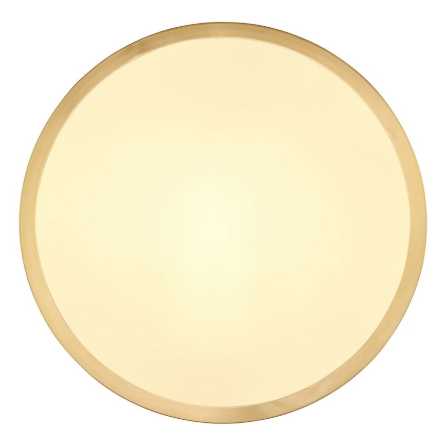 Globo - LED Plafondlamp LED/15W/230V diameter 25 cm