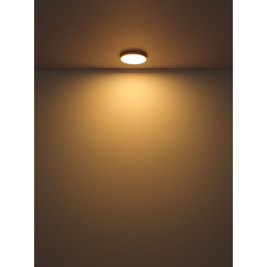 Globo - LED Plafondlamp LED/22W/230V diameter 35 cm
