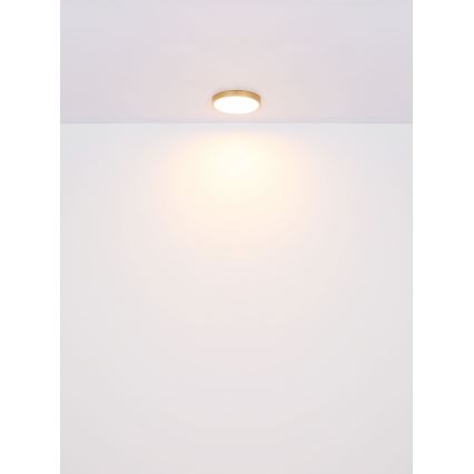 Globo - LED Plafondlamp LED/22W/230V diameter 35 cm