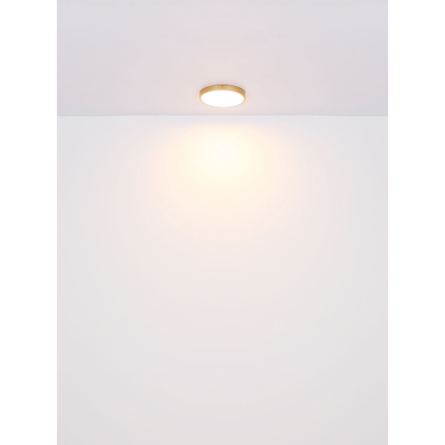 Globo - LED Plafondlamp LED/22W/230V diameter 35 cm