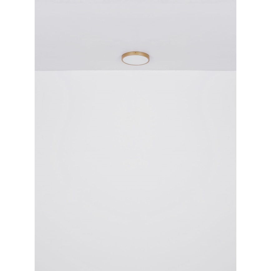 Globo - LED Plafondlamp LED/22W/230V diameter 35 cm