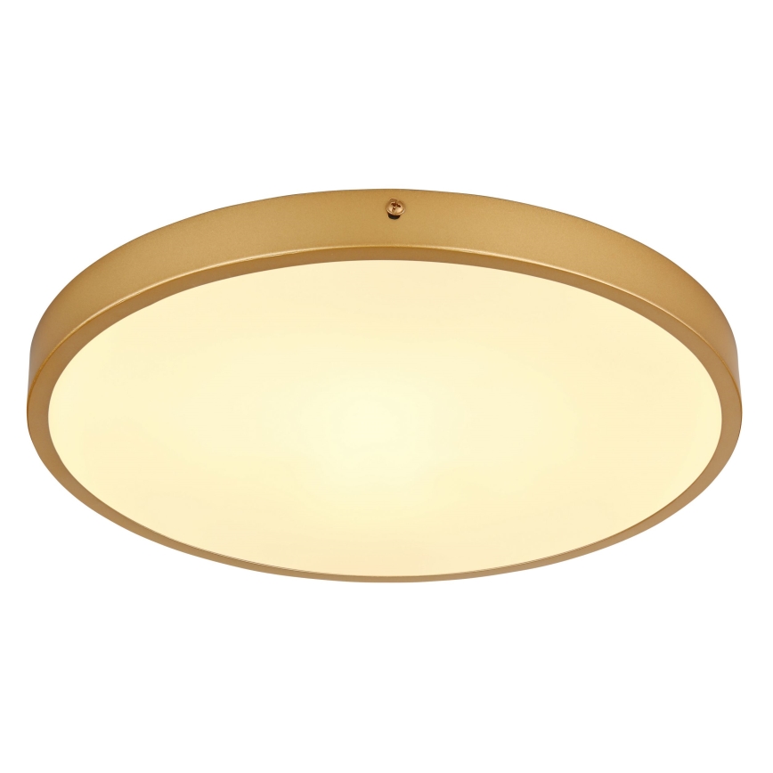 Globo - LED Plafondlamp LED/22W/230V diameter 35 cm