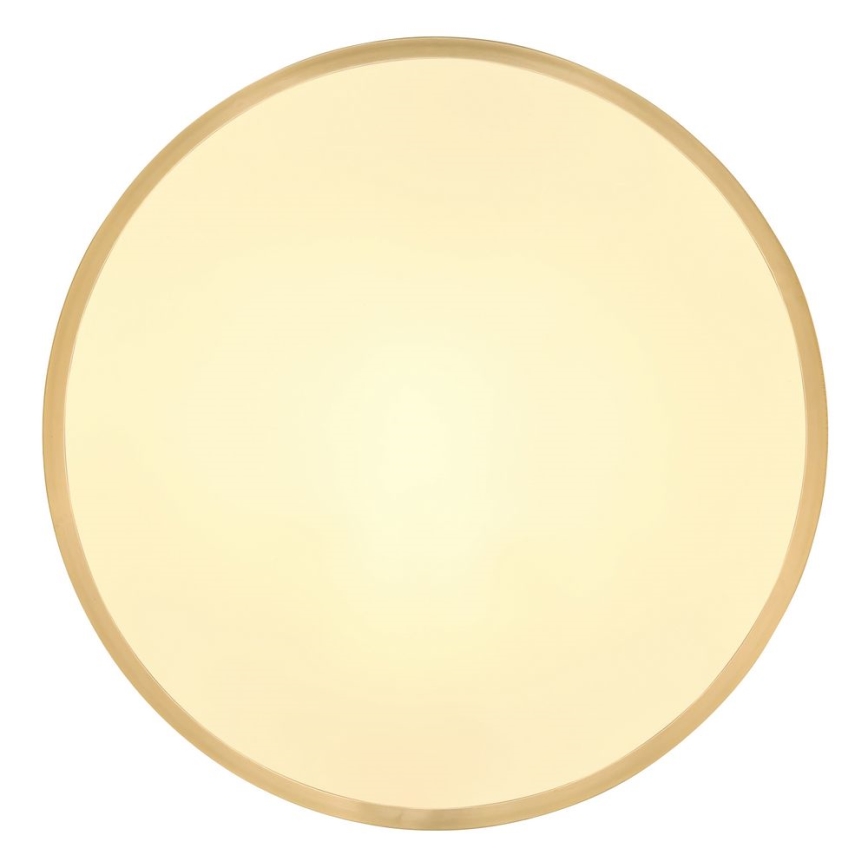 Globo - LED Plafondlamp LED/22W/230V diameter 35 cm