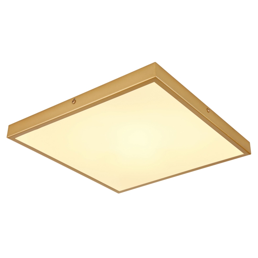 Globo - LED Plafondlamp LED/22W/230V 35x35 cm