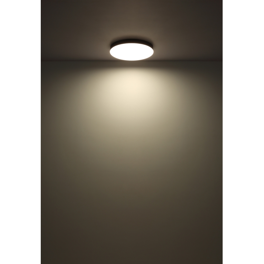Globo - LED Plafondlamp LED/24W/230V 3000K/4000K/6500K diameter 30 cm wit