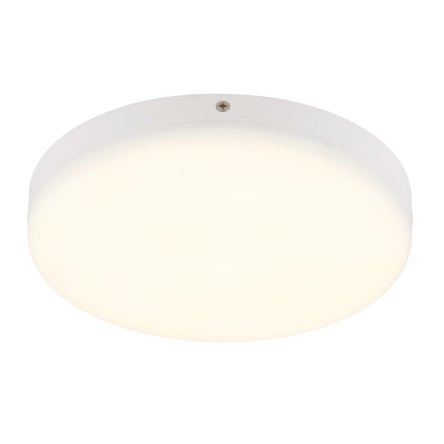 Globo - LED Plafondlamp LED/12W/230V 4000K diameter 22 cm wit