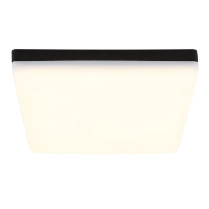 Globo - LED Plafondlamp LED/12W/230V 4000K 22x22 cm zwart