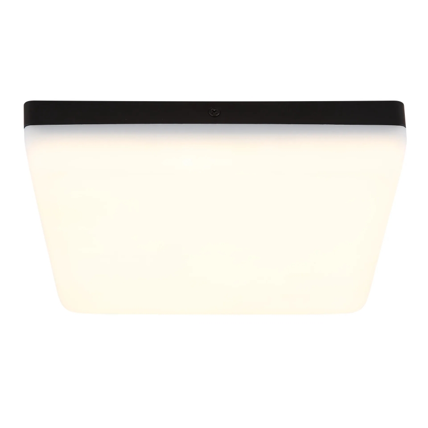 Globo - LED Plafondlamp LED/12W/230V 4000K 22x22 cm zwart