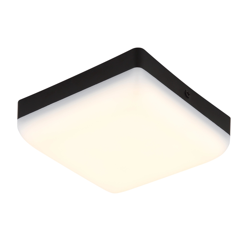 Globo - LED Plafondlamp LED/8W/230V 4000K 12x12 cm zwart