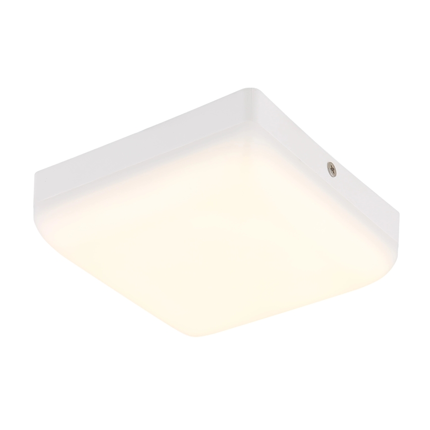 Globo - LED Plafondlamp LED/8W/230V 4000K 12x12 cm wit