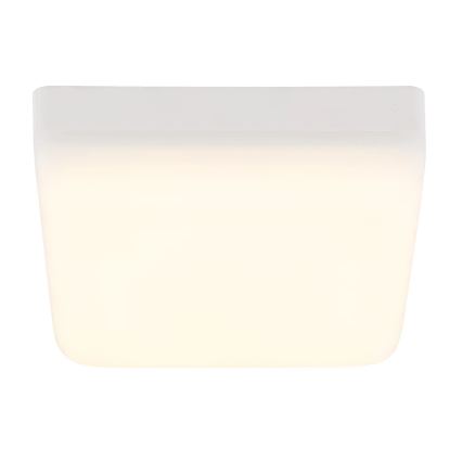 Globo - LED Plafondlamp LED/8W/230V 4000K 12x12 cm wit