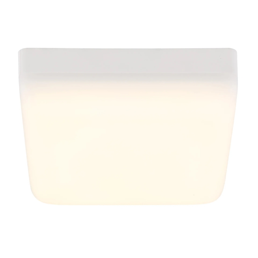 Globo - LED Plafondlamp LED/8W/230V 4000K 12x12 cm wit