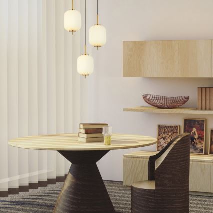 Globo - LED Hanglamp aan een koord LED/20W/230V