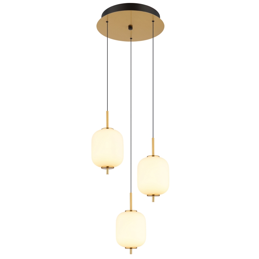 Globo - LED Hanglamp aan een koord LED/20W/230V