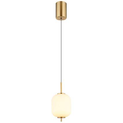 Globo - LED Hanglamp aan een koord LED/7W/230V