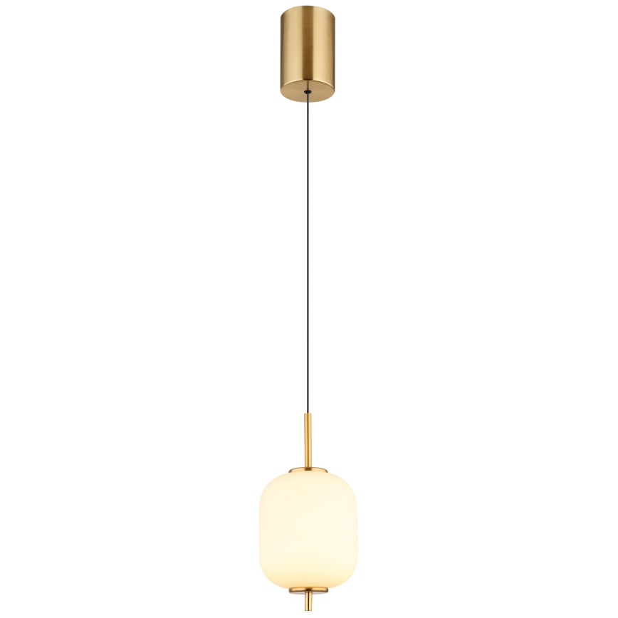 Globo - LED Hanglamp aan een koord LED/7W/230V
