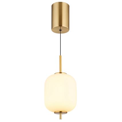 Globo - LED Hanglamp aan een koord LED/7W/230V