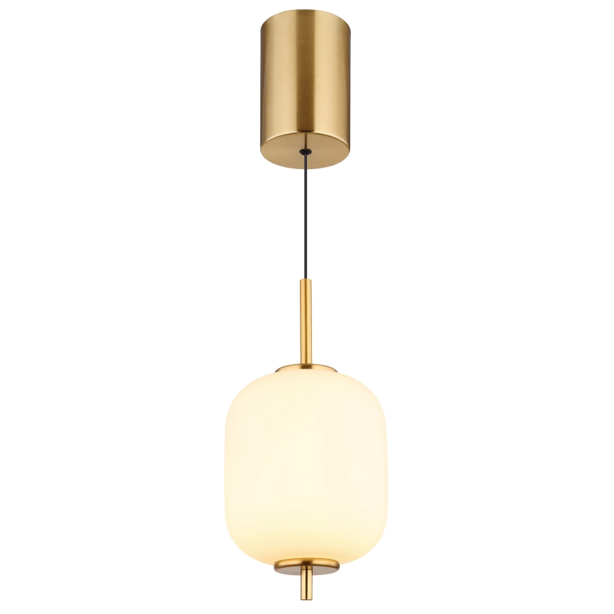 Globo - LED Hanglamp aan een koord LED/7W/230V