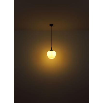 Globo - Hanglamp aan een koord 1xE27/60W/230V diameter 29 cm wit/bruin