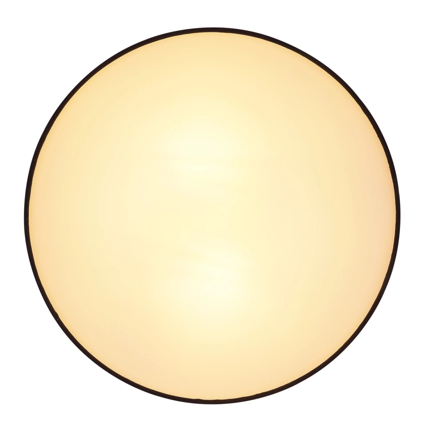 Globo 15582D - Plafondlamp INGEBORG 2xE27/15W/230V