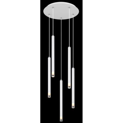Globo - Hanglamp aan een koord 5xG9/4W/230V diameter 34 cm