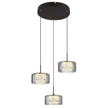 Globo - LED Hanglamp aan een koord 3xLED/8W/230V