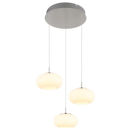 Globo - LED Hanglamp aan een koord 3xLED/6W/230V