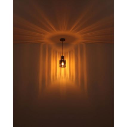 Globo - Hanglamp aan een koord 1xE27/40W/230V diameter 18 cm bruin