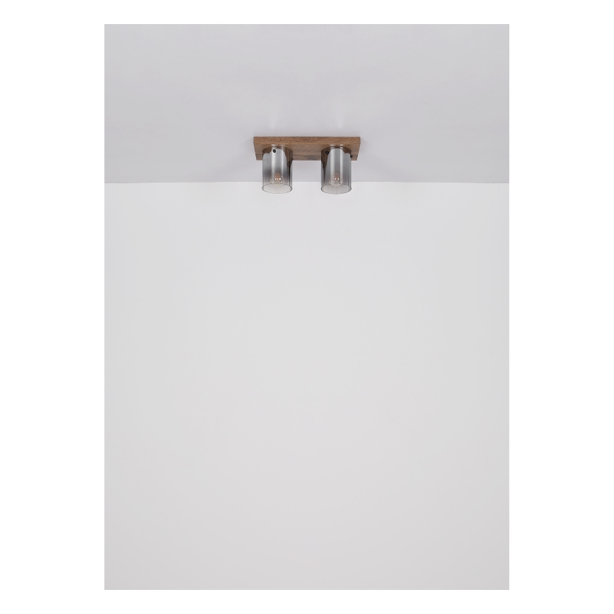 Globo - Plafondlamp 2xE27/40W/230V 16x41 cm