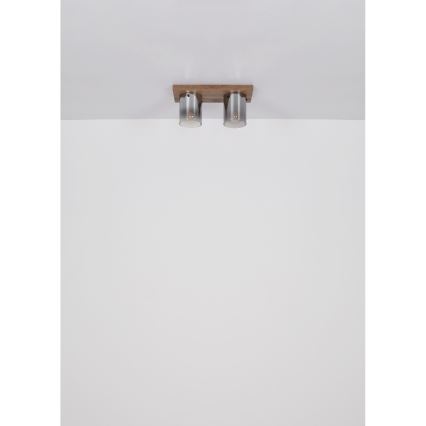 Globo - Plafondlamp 2xE27/40W/230V