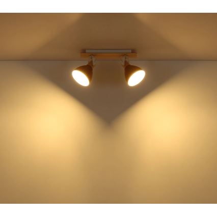 Globo - Spotlamp 2xE14/40W/230V