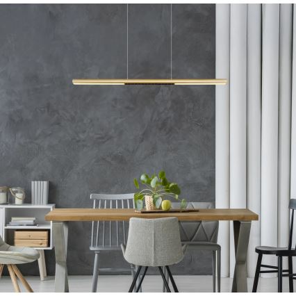 Globo - LED-hanglamp met kabel LED/24W/230V 3000K