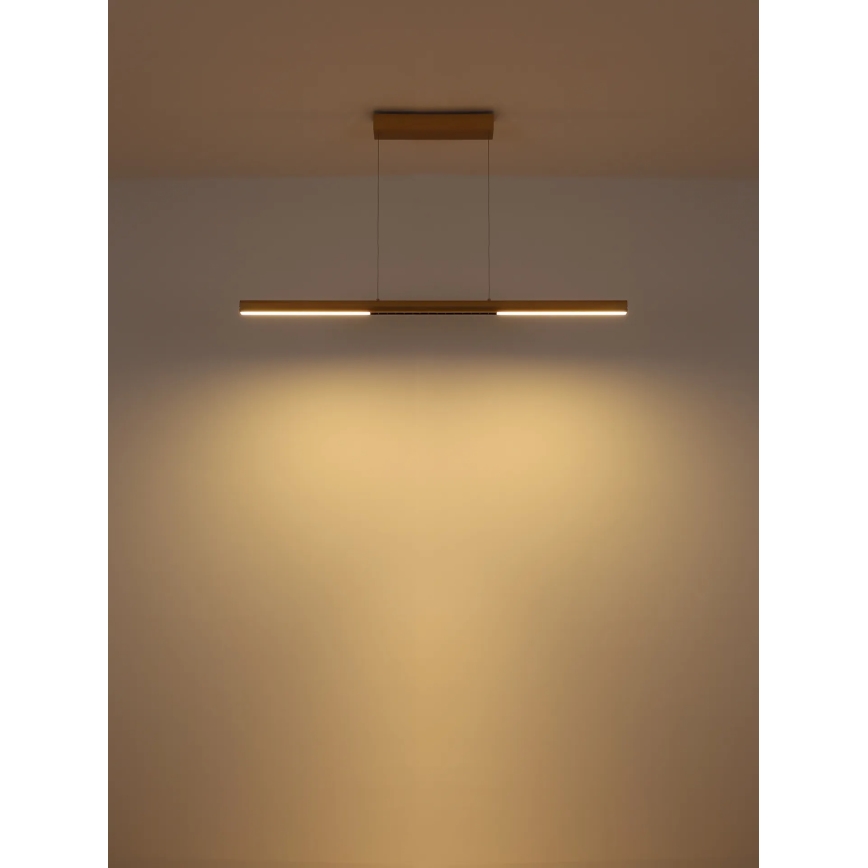 Globo - LED-hanglamp met kabel LED/24W/230V 3000K