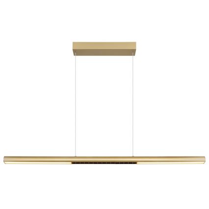 Globo - LED-hanglamp met kabel LED/24W/230V 3000K