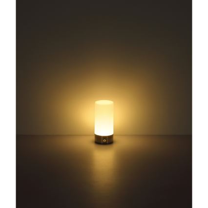Globo - LED RGBW Dimbaar aanraken buitenshuis tafellamp LED/1,8W/5V 1500 mAh IP44 mat chroom