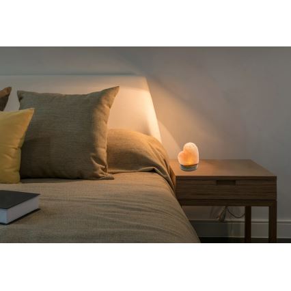 Globo - LED zoutlamp LED/5W/230V 0,4 kg