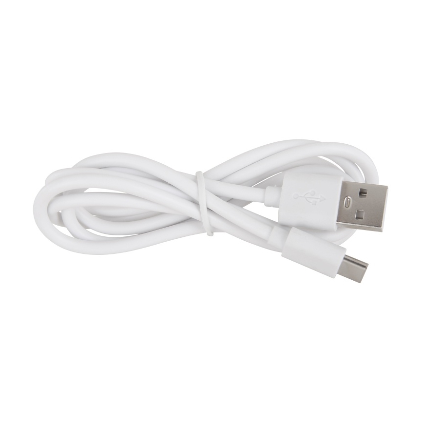 Globo - LED RGBW dimbaar oplaadbaar nachtlampje voor kinderen LED/1W/5V 1200 mAh beer