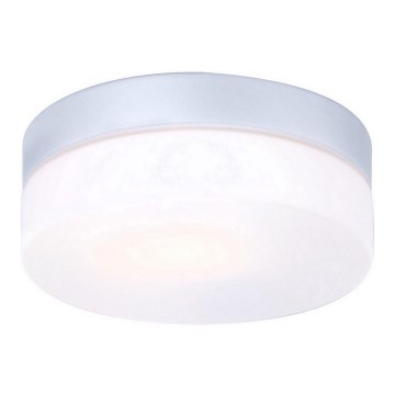 Globo 32111 - Badkamerlamp VRANOS 1xE27/60W/230V IP44